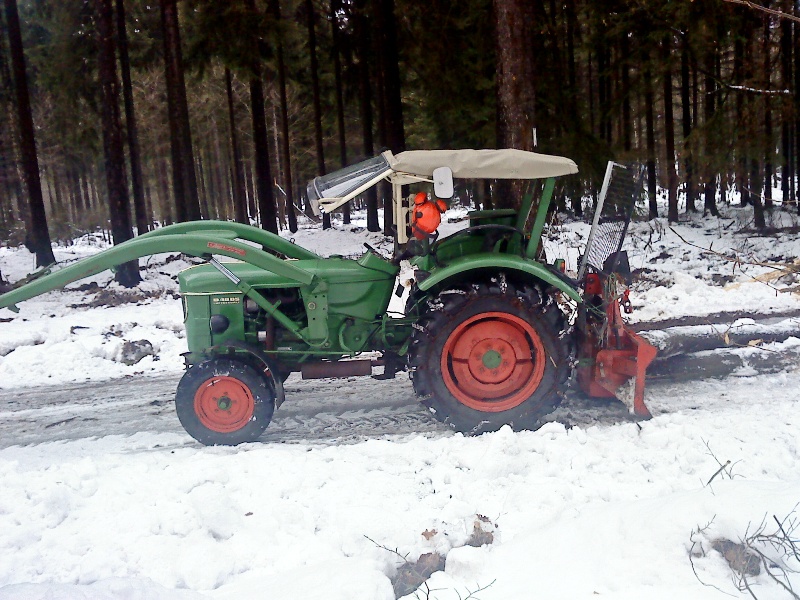Mein Arbeitstier.jpg