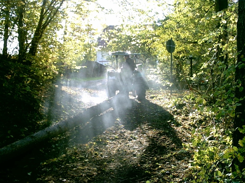 4005 bei Schwerstarbeit,Borkenkäfer 2003.jpg