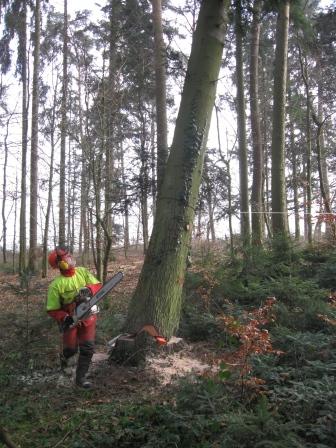 Blick nach oben und ab in die Rueckweiche!.JPG