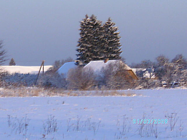 Silvester 09 u. winterlich 016.jpg