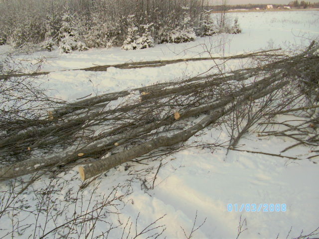 Silvester 09 u. winterlich 023.jpg