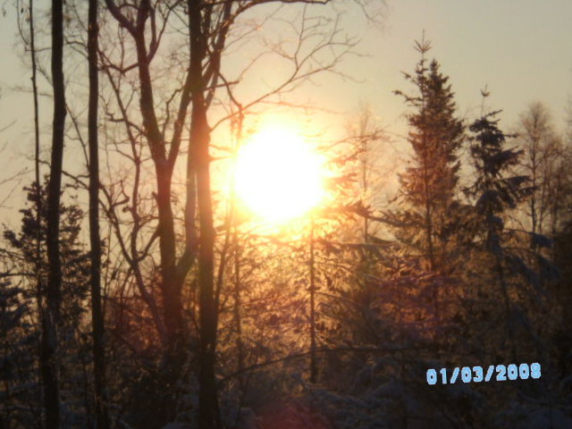 Silvester 09 u. winterlich 019.jpg