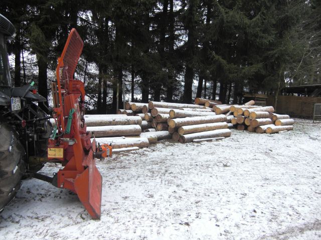 brennholz_2010-01-08_06.jpg