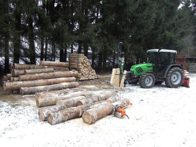 brennholz_2010-01-08_05.jpg