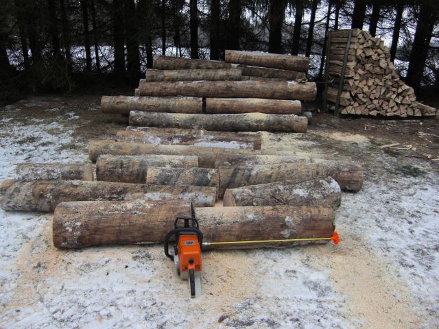 brennholz_2010-01-08_04.jpg