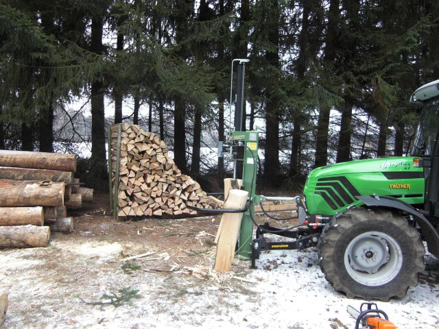 brennholz_2010-01-08_03.jpg
