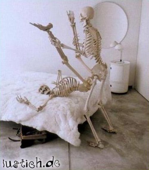 745-skelette-beim-sex.jpg