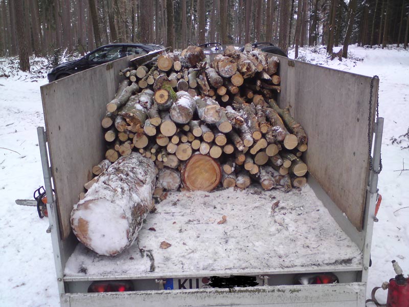 Anfang_Brennholz.jpg