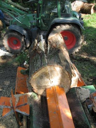 Jetzt hat er verloren.JPG