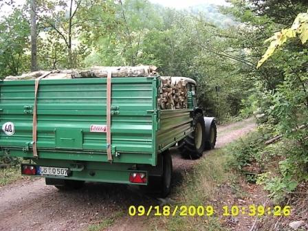 Holz ausliefern1.JPG