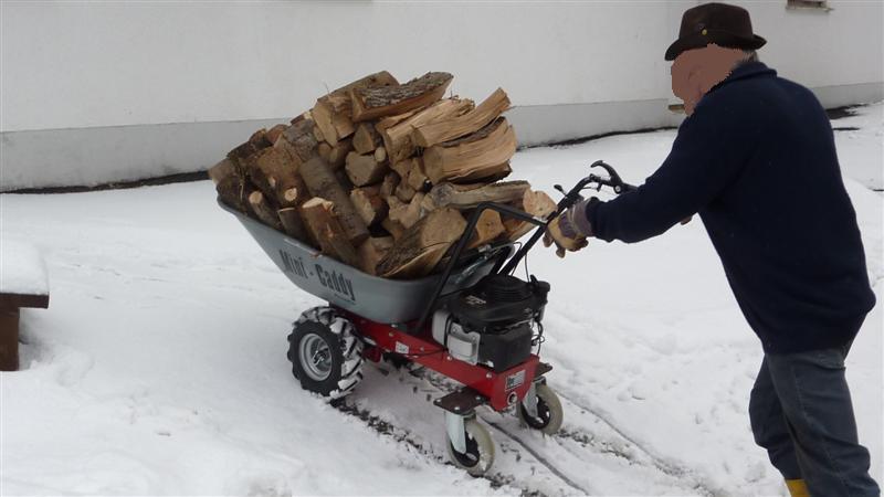 P1040242 (Medium).JPG