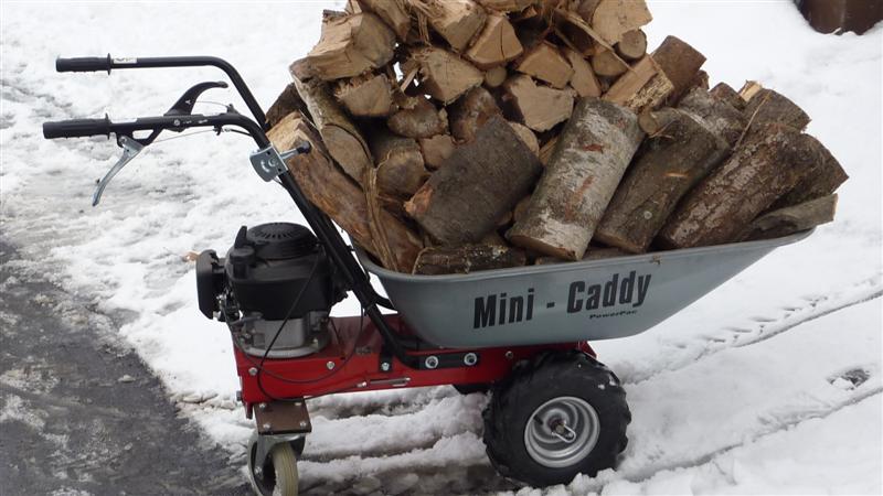 P1040241 (Medium).JPG