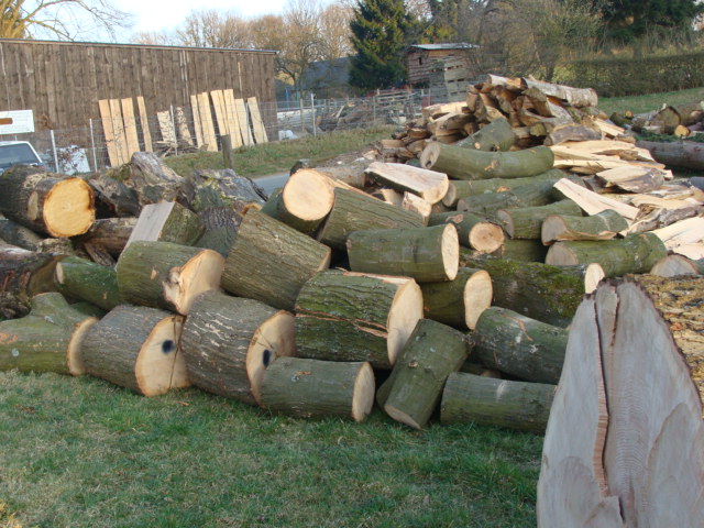 Holz 03.04.09 005.jpg