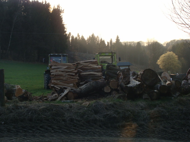 Holz 03.04.09 001.jpg