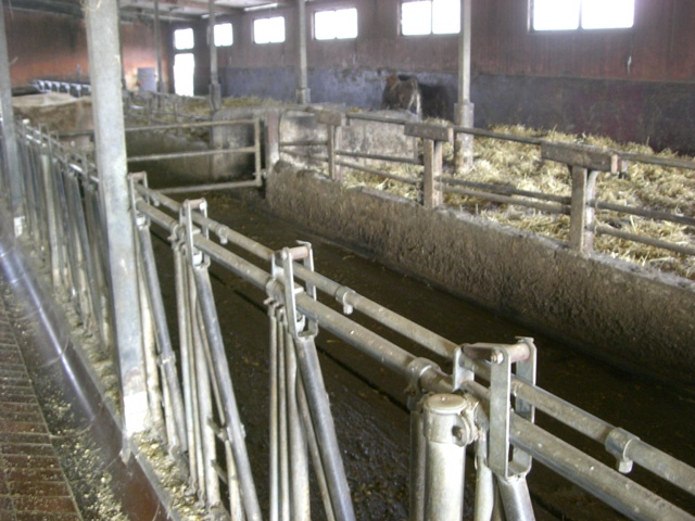 CIMG4493.JPG