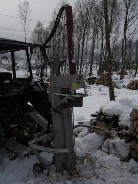 Wald 13.2.10 016_450x600.jpg