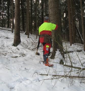 Festlegung der Schlagordnung.JPG