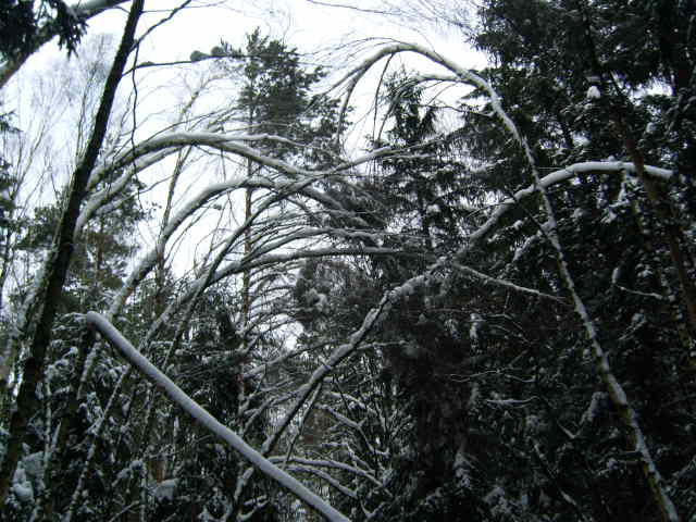 Winter 2010 010.jpg