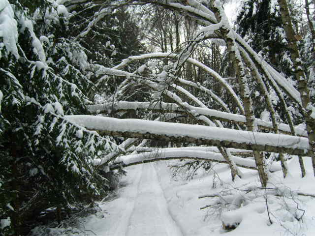 Winter 2010 014.jpg