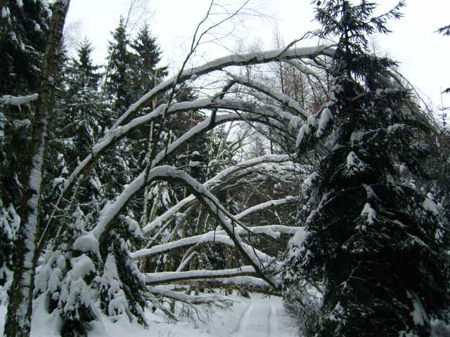 Winter 2010 013.jpg