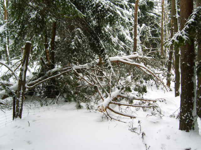 Winter 2010 024.jpg