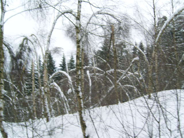 Winter 2010 022.jpg