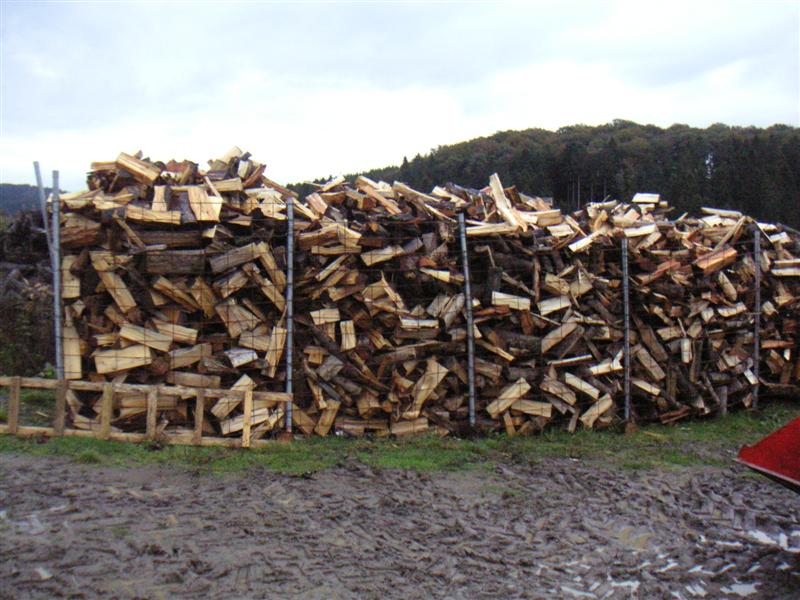 PICT2010 (Medium).JPG