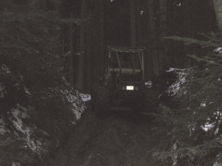 Durch diese hohle Gasse muss er kommen!k.JPG