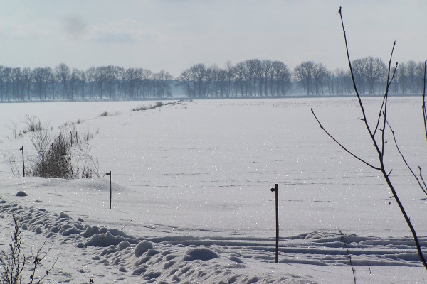 schnee.JPG