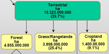Landfläche.jpg