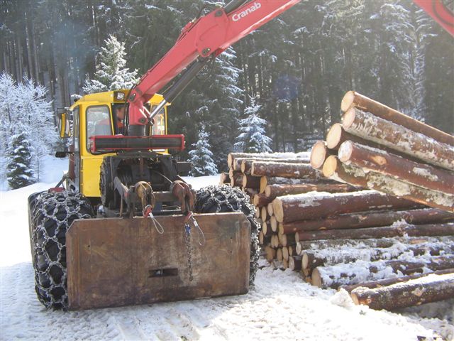 Welte Holzen 002.jpg