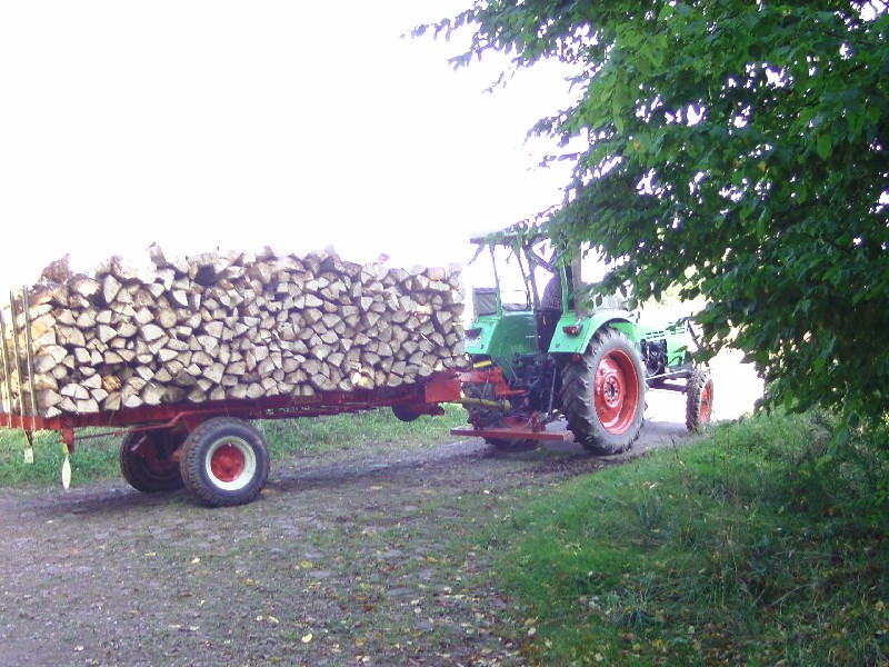 Wald mit Reiner 048.jpg