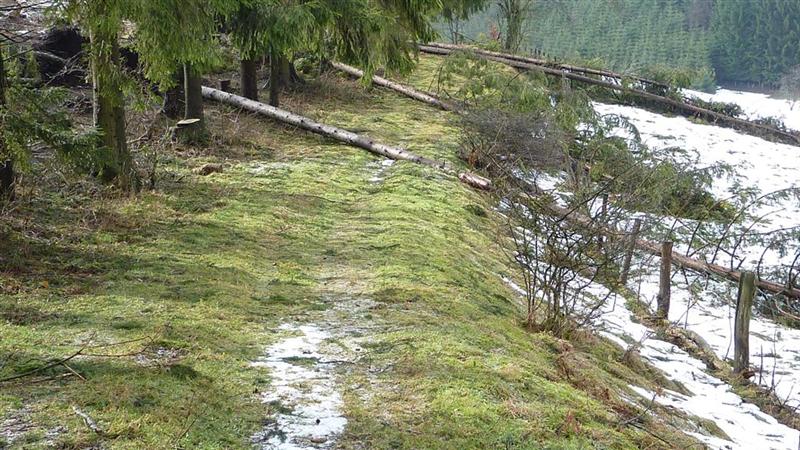 P1040449 (Large) (Medium).JPG