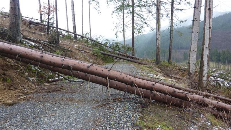 P1040438 (Large) (Medium).JPG