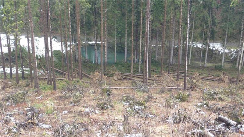 P1040434 (Large) (Medium).JPG