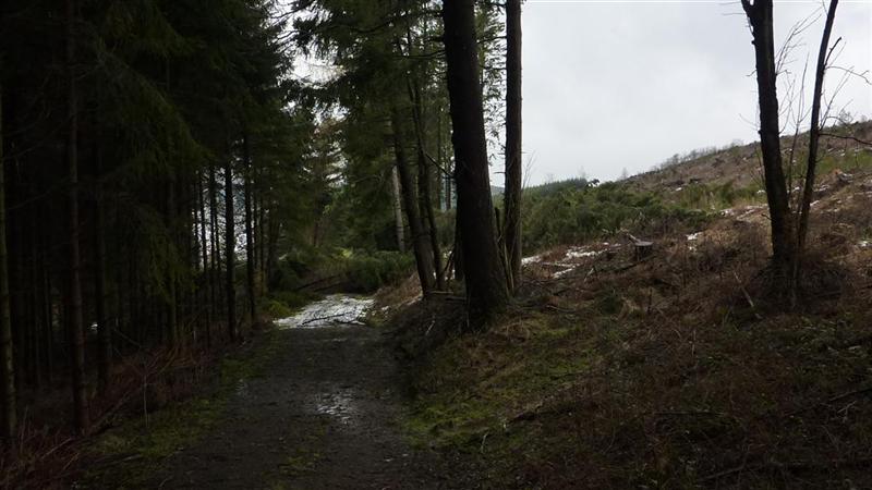 P1040428 (Large) (Medium).JPG