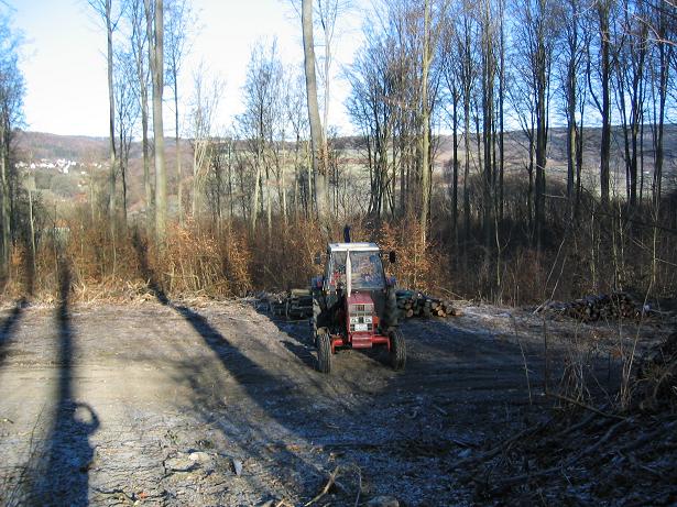 Rückegasse Ende.JPG