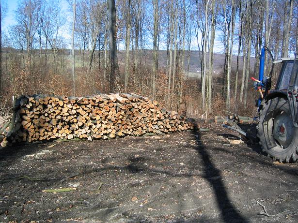 Holzstapel.JPG