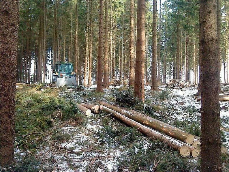 Fixlängen rucken.JPG