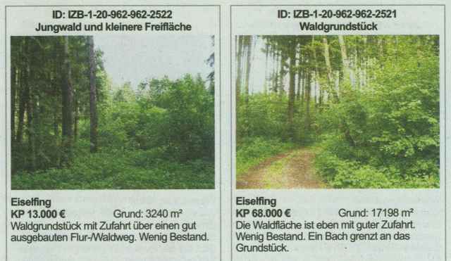 waldpreise oberbayern.jpg