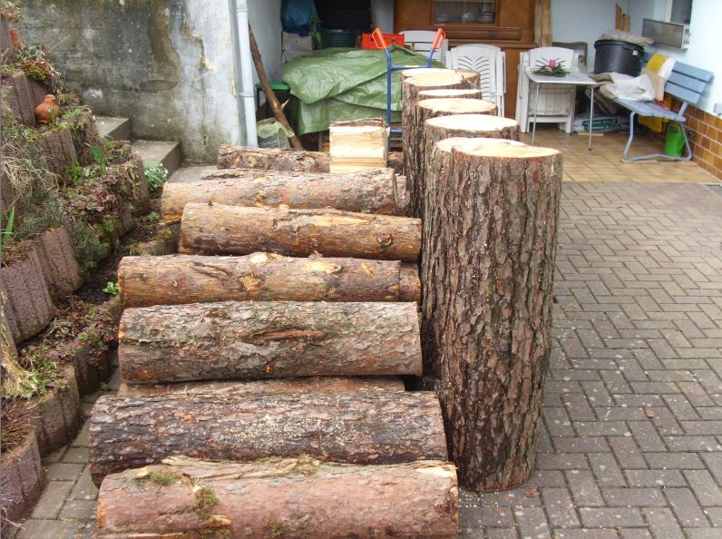 3 Kiefer Festmeter.jpg