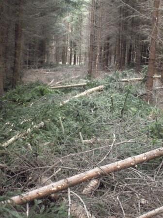 Verschiedenes 019.JPG