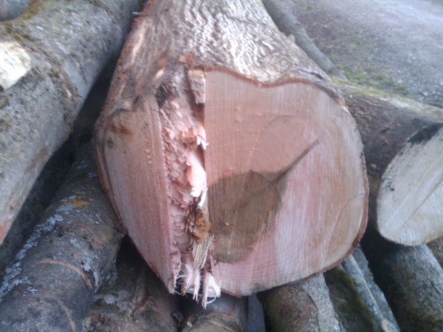 2010-03-31 19.42.27.jpg