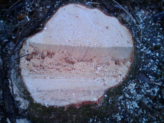 2010-03-31 19.39.58.jpg