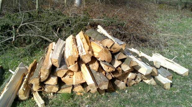 4 Rutzewald 0410.jpg