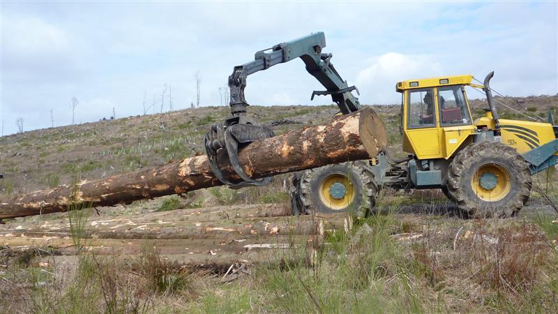 P1040565 (Medium).JPG