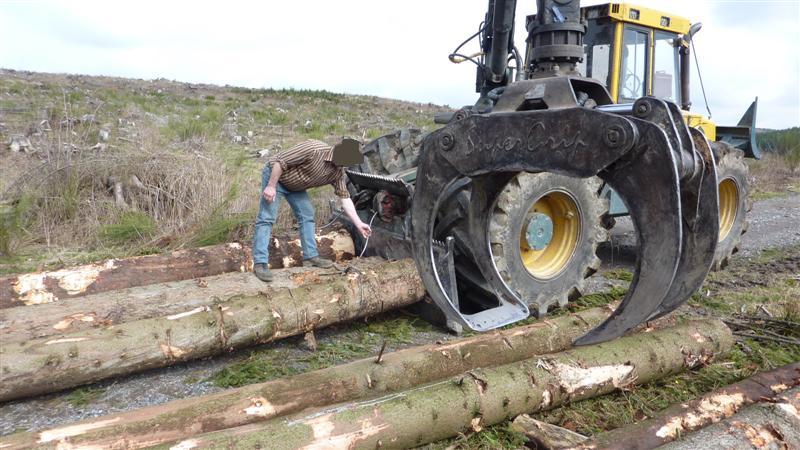 P1040563 (Medium).JPG