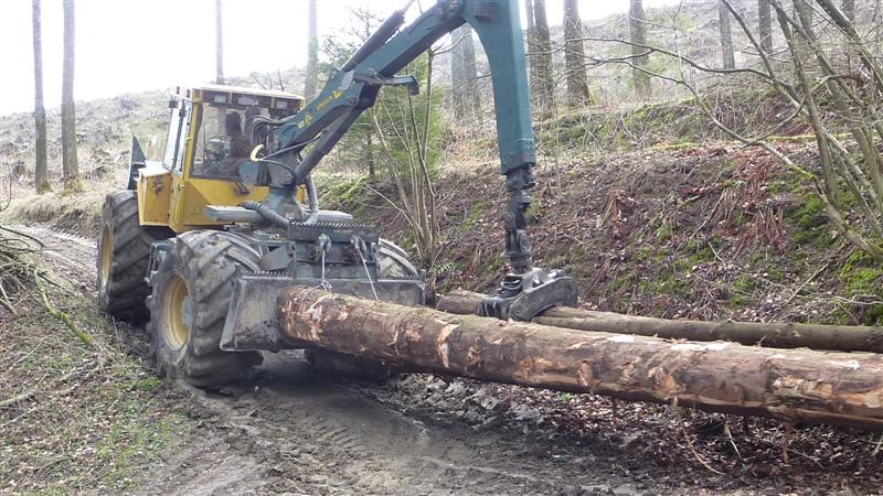 P1040557 (Medium).JPG