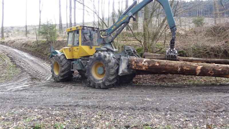 P1040556 (Medium).JPG