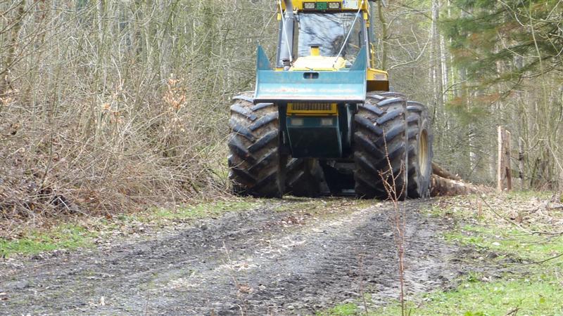 P1040554 (Medium).JPG